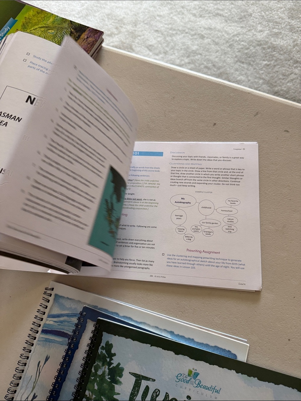 Good & Beautiful Language Arts & Literature Level Six Course Book - Green - Picture 3 of 10